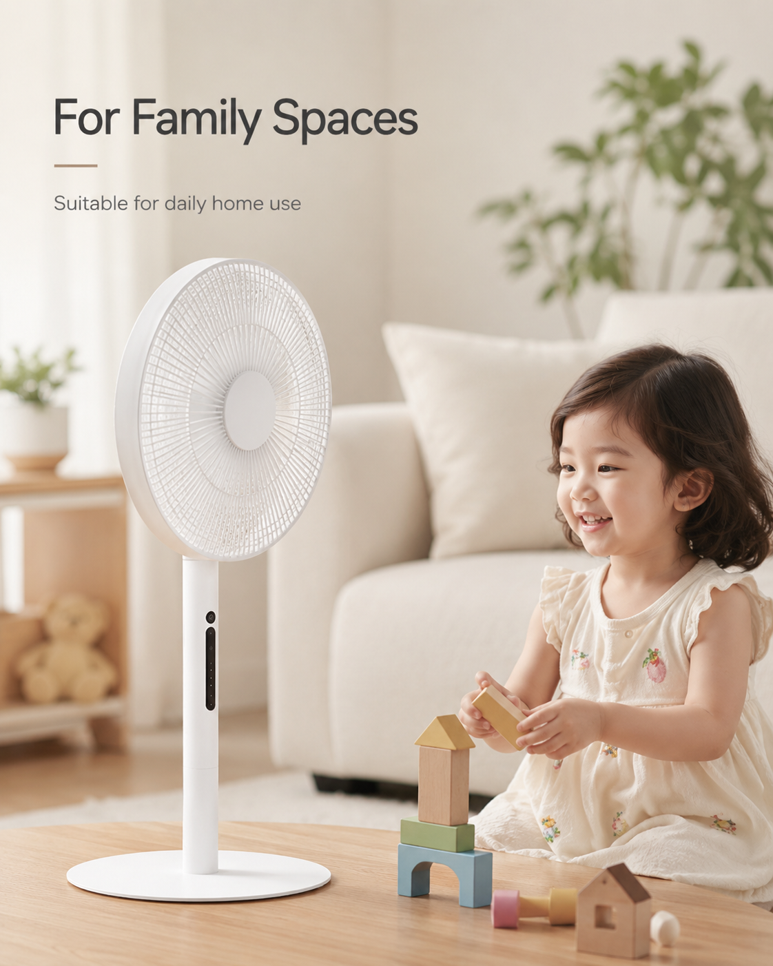 Portable Desk Fan (10)