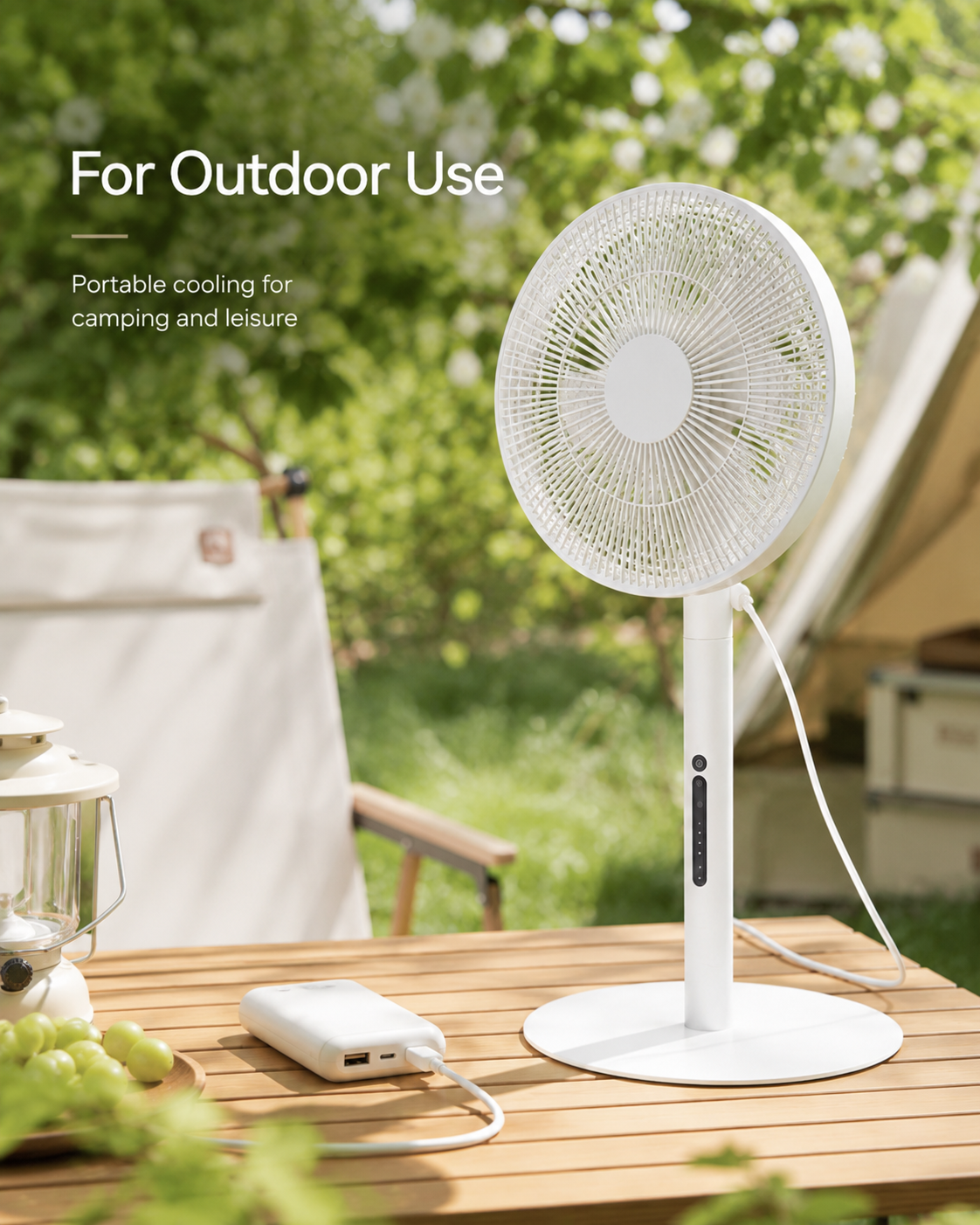 Portable Desk Fan (9)